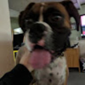 Meet your Posher, Todd